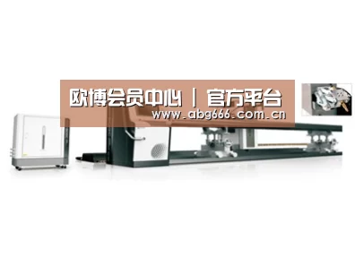 案例展示五