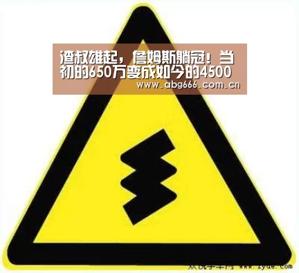 渣叔雄起,詹姆斯躺冠!当初的650万变成如今的4500万!【abg欧博官网】(图4) 欧博官网