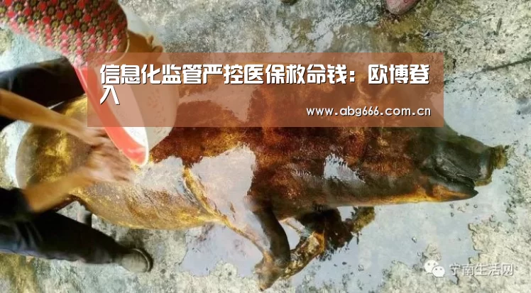信息化监管严控医保救命钱：欧博登入